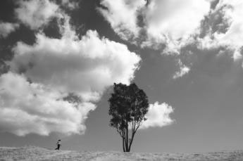 Clouds and a tree